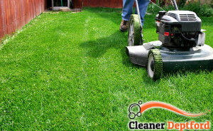lawn-mowing-services-deptford