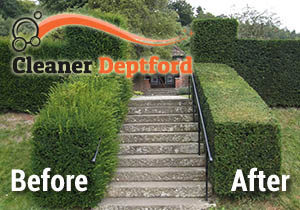 Before and After Hedge Trimming