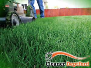 grass-cutting-services-deptford